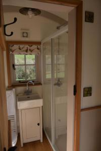 a bathroom with a shower and a sink and a mirror at Snug Oak Hut with a view on a Welsh Hill Farm in Brecon