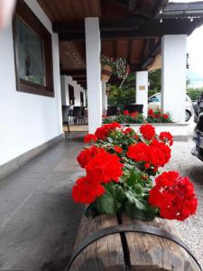 Fotografie z fotogalerie ubytování Hotel Principe v destinaci Cortina dʼAmpezzo