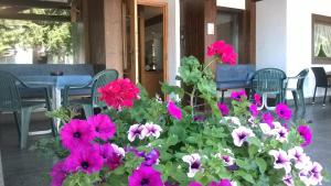 Zahrada ubytování Hotel Principe