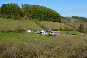 a farm with a group of animals in a field at Snug Oak Hut with a view on a Welsh Hill Farm in Brecon