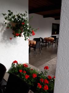 Posezení v ubytování Hotel Principe