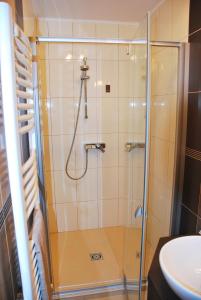 La salle de bains est pourvue d'une douche et d'un lavabo. dans l'établissement Albatrosz Apartman, à Gyula