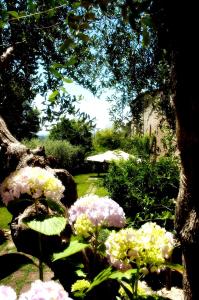 a garden with pink and yellow flowers and a tree at Locanda Delle Mura Anna De Croy in Magliano in Toscana