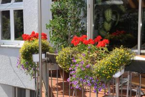 
a garden filled with lots of flowers next to a window at Hotel Ortel in Besigheim
