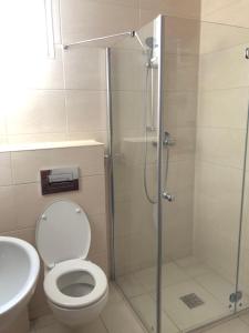 a bathroom with a shower with a toilet and a sink at House of Laura in Băile Tuşnad +20 photos