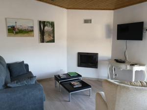 a living room with a couch and a tv at Quinta Da Ponte in Barca dʼAlva
