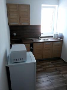 Kuchyň nebo kuchyňský kout v ubytování Apartmán u Davida