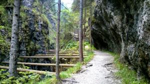 einen Weg im Wald mit einem Holzzaun in der Unterkunft Apartmány Goral Oravice in Vitanová