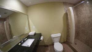 uma casa de banho com um WC, um lavatório e um chuveiro em Travel Inn of Riviera Beach em Riviera Beach