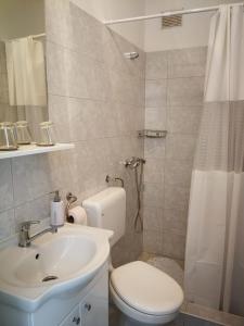 un bagno con lavandino, WC e doccia di Apartman Marija Brajdic a Rakovica Altre 26 foto