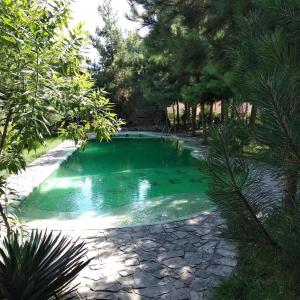 a swimming pool in the middle of a yard with trees at Toshkent Hotel in Andijan