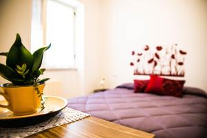 Gambar di galeri bagi B&B "Xenia" di Paestum +23 gambar