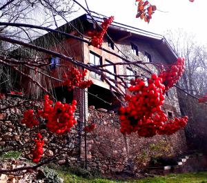 Budova, v ktorej sa dom na vidieku nachádza