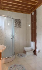 a bathroom with a shower and a toilet at ÖZ Butik Otel Antik Kent Myrleia in Mudanya +44 photos
