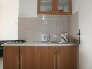 a kitchen with a sink and a counter top at APARTMANI LAŠTRO in Jesenice