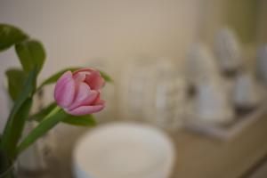 Fotografie z fotogalerie ubytování B&B Siracusa Holidays v destinaci Siracusa