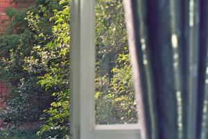 A garden outside L'Antenna