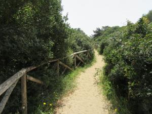 Fotografie z fotogalerie ubytování Villa Oltremare By Cala Salento v destinaci Punta Prosciutto