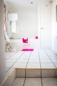 a bathroom with a toilet and a pink stool at Mallard Cottage in Whitehead