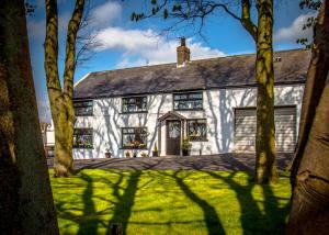 una casa bianca con alberi di fronte di Mallard Cottage a Whitehead