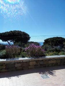 Gallery image of Le Paradis in Levanto