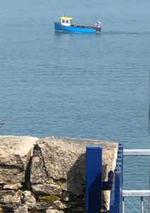 a blue boat in the water next to a wall at Slieve Donard Cottage in Newcastle