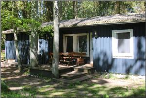 un cottage blu con un tavolo da picnic nel bosco di Exklusiver Bungalow direkt am Strand a Dranske