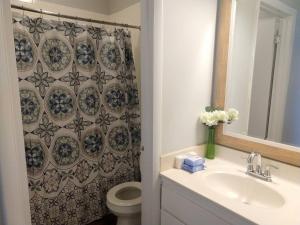 y baño con lavabo, aseo y ducha. en Inviting Condo in Central Raleigh, en Raleigh