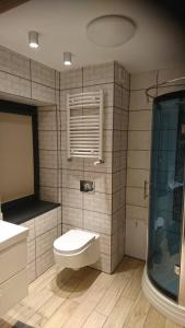 a bathroom with a toilet and a shower at Apartament Loft 100 m2 Centrum Bydgoszcz in Bydgoszcz
