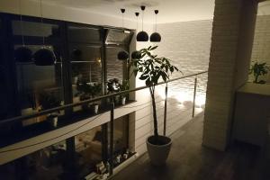 a potted plant on a balcony in a room at Apartament Loft 100 m2 Centrum Bydgoszcz in Bydgoszcz