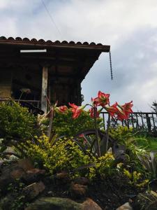 Billede fra billedgalleriet på Hotel Rural Granja Agroecoturistica Santa Barbara i Simijaca + 81 billeder