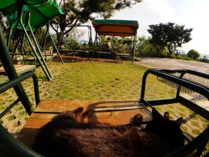 Foto sihtkohas Renai asuva majutusasutuse Shan Shui-Yuan Vege Guest House galeriist