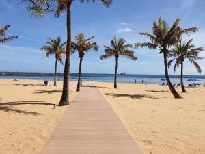 a boardwalk on a beach with palm trees and the ocean at Las Teresitas Apartment in San Andrés