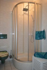 コトブスにあるFerienhaus Sonneのバスルーム(シャワー、トイレ、洗面台付)