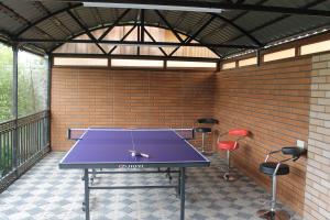 Stolní tenis v ubytování Hotel Lion nebo okolí