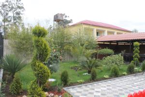 Zahrada ubytování Hotel Lion