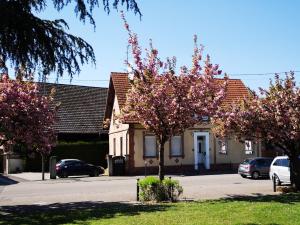 two trees with pink flowers in front of a house at L'ARBOGAST in Herrlisheim