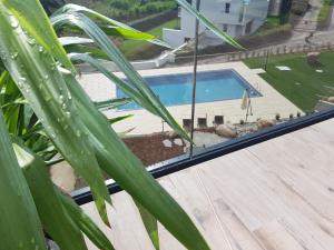 Bazén v ubytování Aparthotel Malga nebo v jeho okolí
