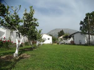 Gallery image of Apartman Zorana in Bar