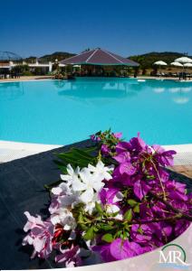 The swimming pool at or close to Residence Hotel Monte Ricciu