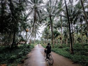 a person riding a bike down a dirt road with palm trees at Villa Varich in Chumphon