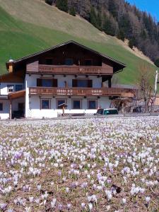 a house with a field of flowers in front of it at Pension & Appartament Anna in Predoi