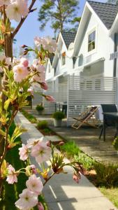 a tree with pink flowers in front of a house at 8 Sosen Pobierowo in Pobierowo