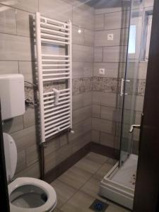 a bathroom with a toilet and a glass shower at Apartment Šinc in Kobarid