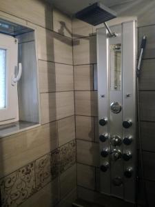 a shower with a glass door in a bathroom at Apartment Šinc in Kobarid