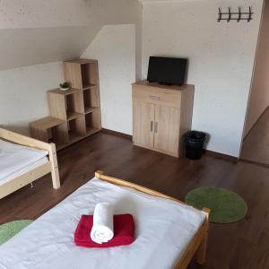 TV a/nebo společenská místnost v ubytování Guesthouse Osvald