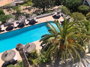 una vista aérea de una piscina con sillas y una palmera en Bella Colina I Vintage Hotel 1953 en Paguera