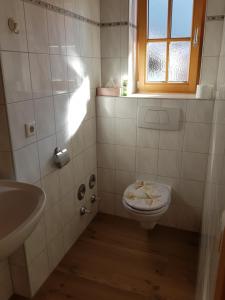 baño con aseo y lavabo y ventana en Ferienwohnung 1 Kofler en Mittenwald