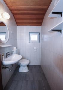 a bathroom with a white toilet and a sink at Apartments & Rooms Peranic in Novalja