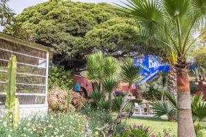 Imagen de la galería de Villa Beldi, en Essaouira